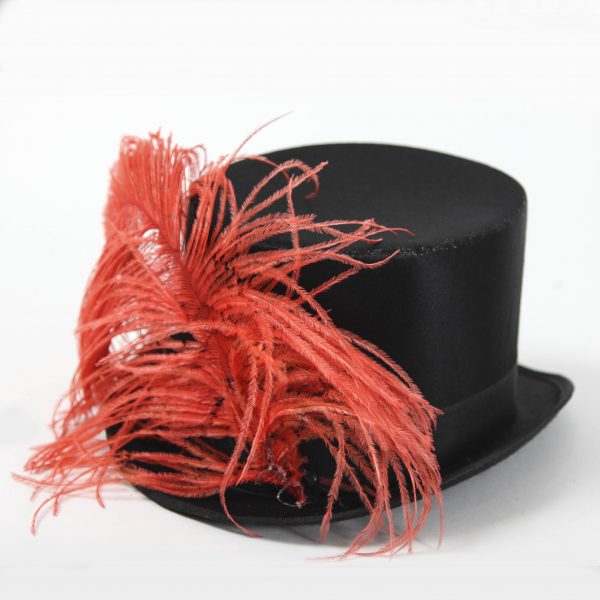 Circus Top Hat with red Feather