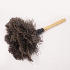 Feather Duster Prop Rental
